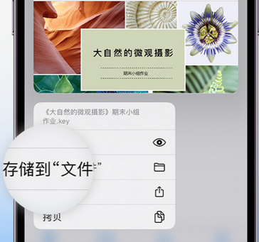 五寨apple维修中心分享iPhone文件应用中存储和找到下载文件