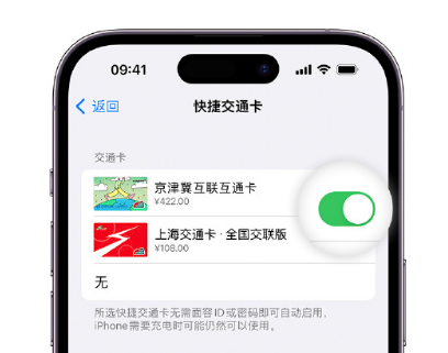 五寨apple维修点分享iPhone上更换Apple Pay快捷交通卡手绘卡面 