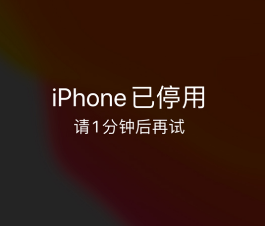 五寨苹果手机维修分享:iPhone 显示“不可用”或“已停用”怎么办？还能保留数据吗？ 