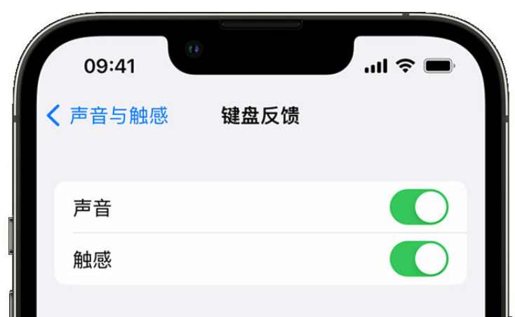 五寨苹果手机维修分享iPhone 14触感键盘使用方法 