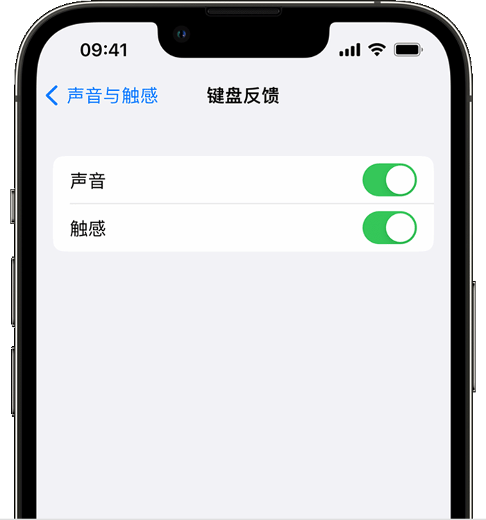 五寨苹果14维修店分享如何在 iPhone 14 机型中使用触感键盘 