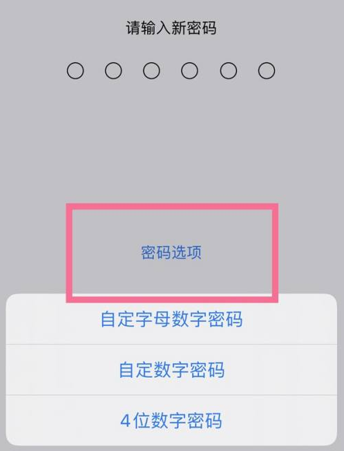 五寨苹果14维修分享iPhone 14plus设置密码的方法 