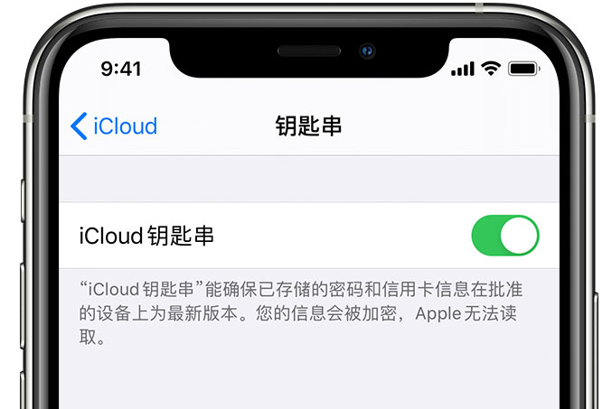 五寨苹果手机维修分享在 iPhone 上开启 iCloud 钥匙串之后会储存哪些信息 