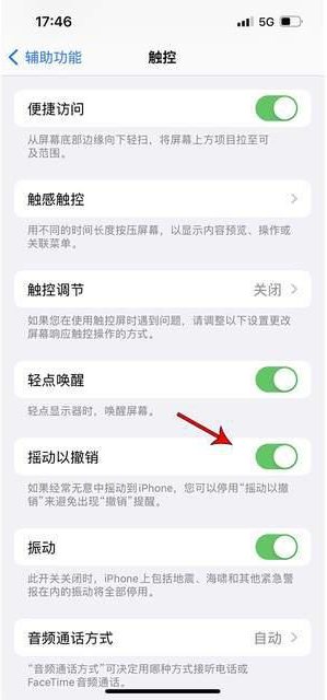 五寨苹果手机维修分享iPhone手机如何设置摇一摇删除文字 